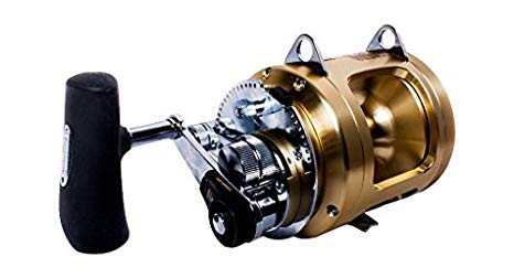 Carrete SHIMANO TIAGRA TS 80WA TROLLING 2 SPD TI80WA